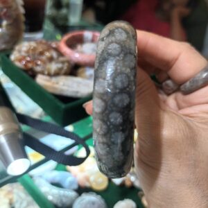 黑冰雛菊花